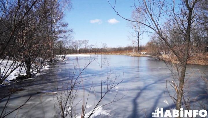    Фото:Дмитрий Волков
