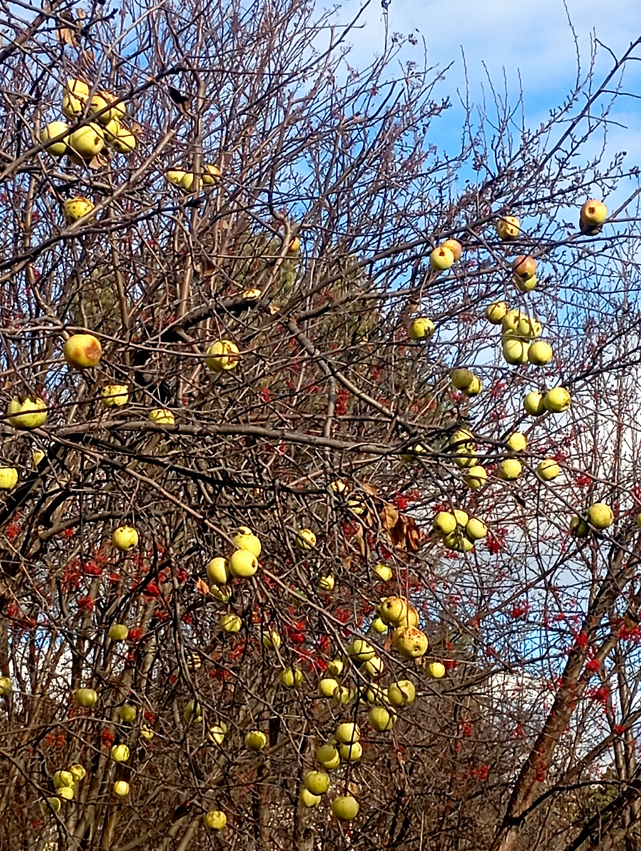 Небо сегодня было голубое