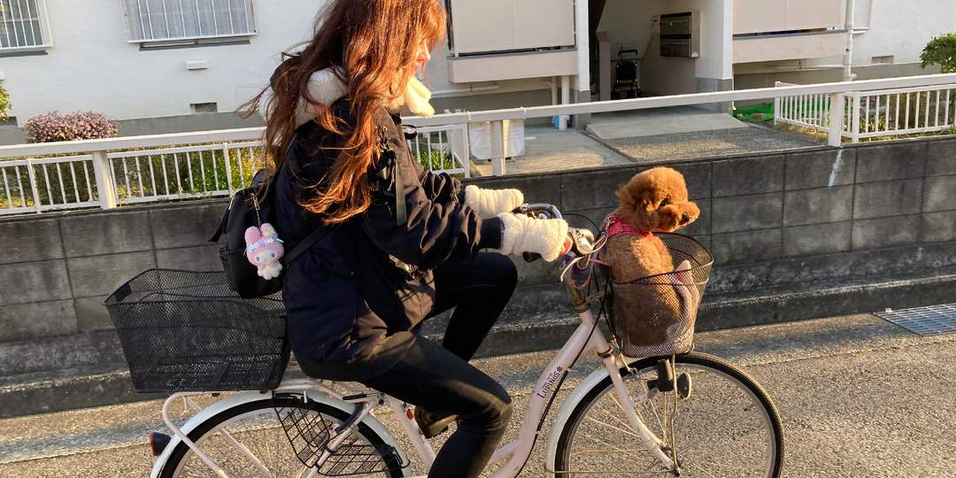 Моя мечта о велопутешествии по Японии разбилась о суровую реальность