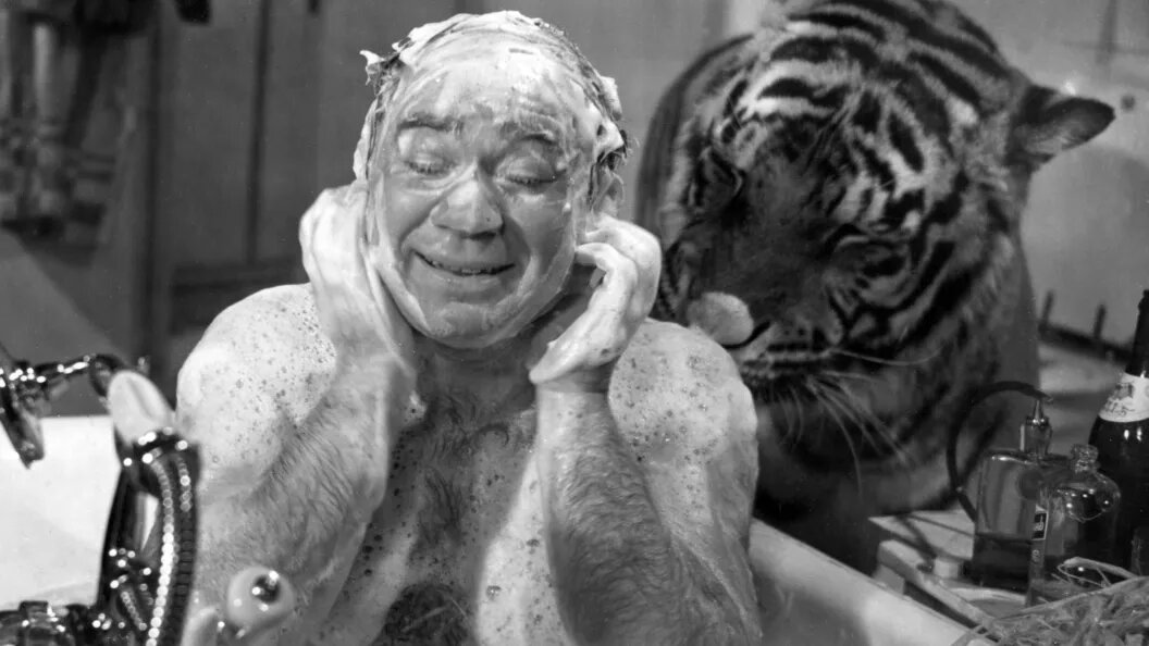    ФОТО: Russian Look/Globallookpress