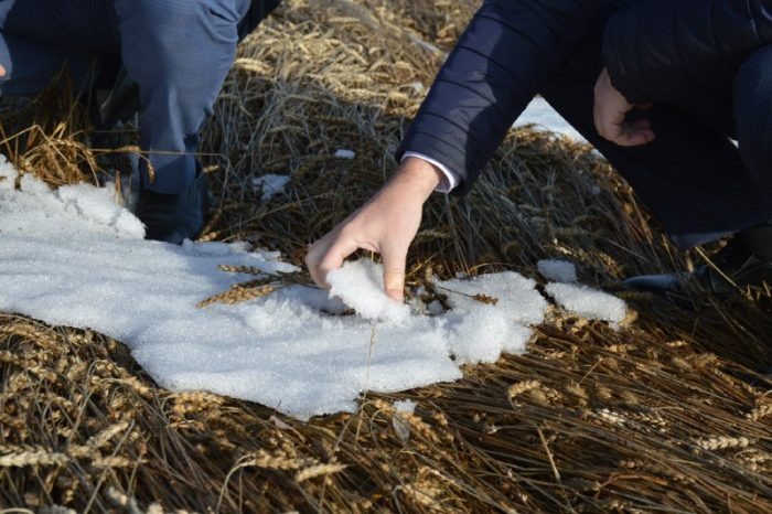 Фото телеграмм-канала «Администрация Искитимского района».