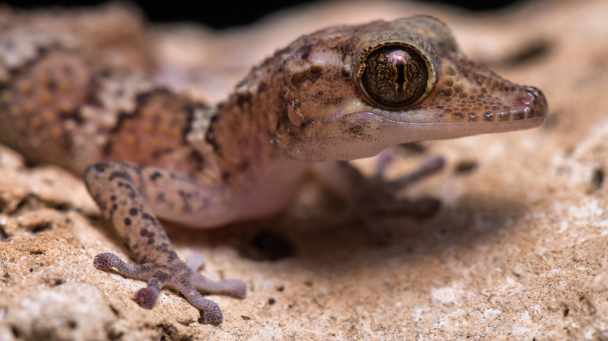    Фото: www.globallookpress.com/Marko von der Osten