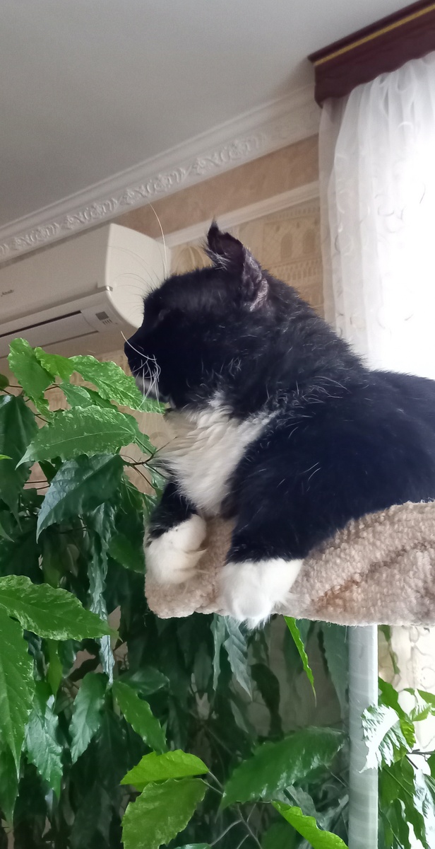 Фото автора.