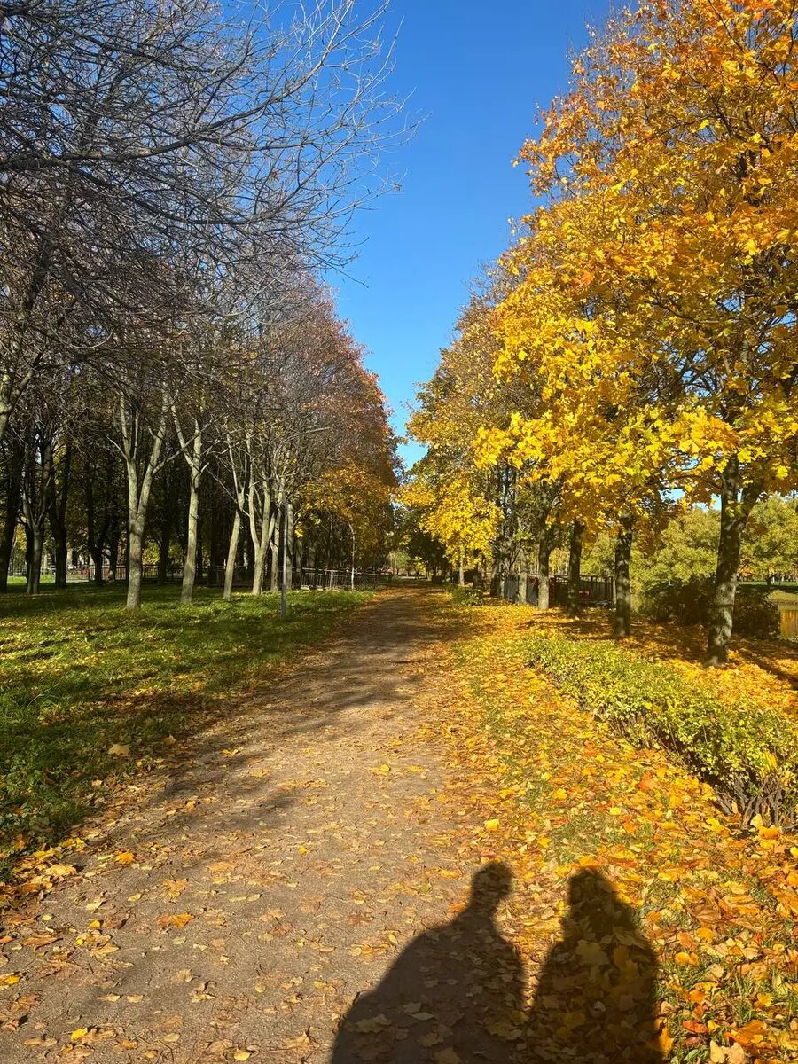    Фото: Мойка78