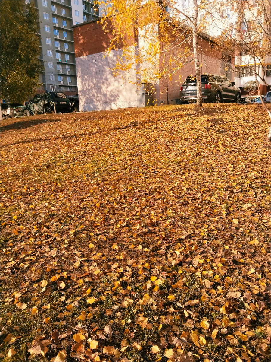 Лиловый, золотой, багряный....