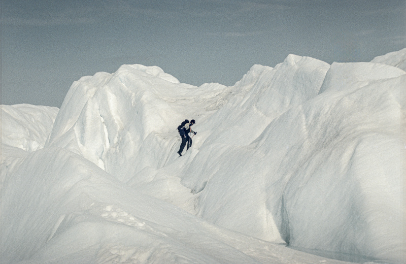    Фото: Sergey Metelitsa/Global Look Press