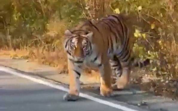    Источник фото: