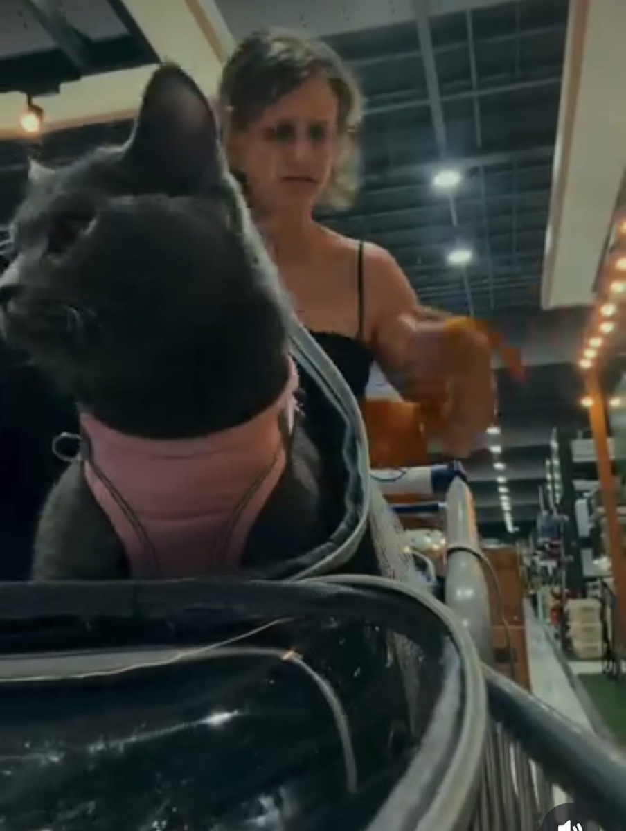 У любимой кошечки есть даже специальная коляска, как у ребенка. 