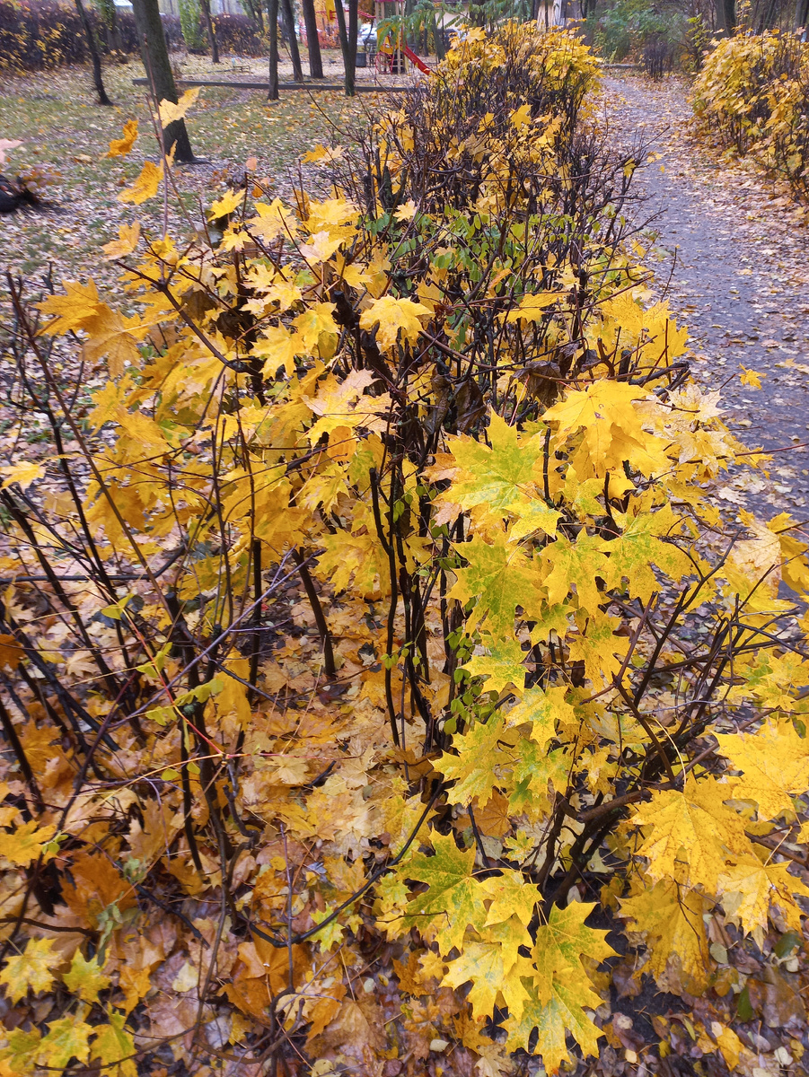 Фото личное