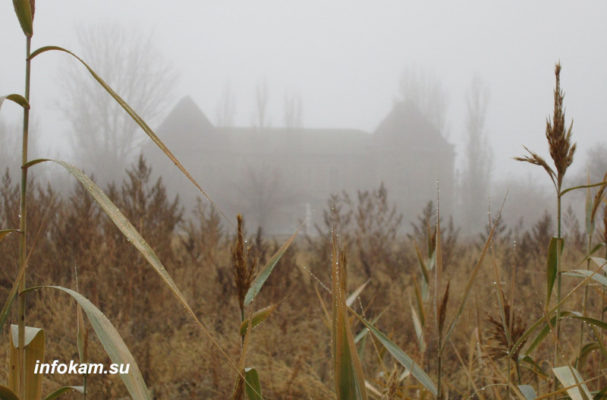    Осень. Камышин. Вид сквозь камыши на Пушкинское училище, которое было открыто к 100-летию со дня рождения поэта в 1899 году