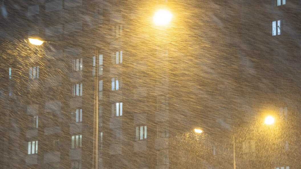    фото:Ilya Moskovets/URA.RU/Globallookpress