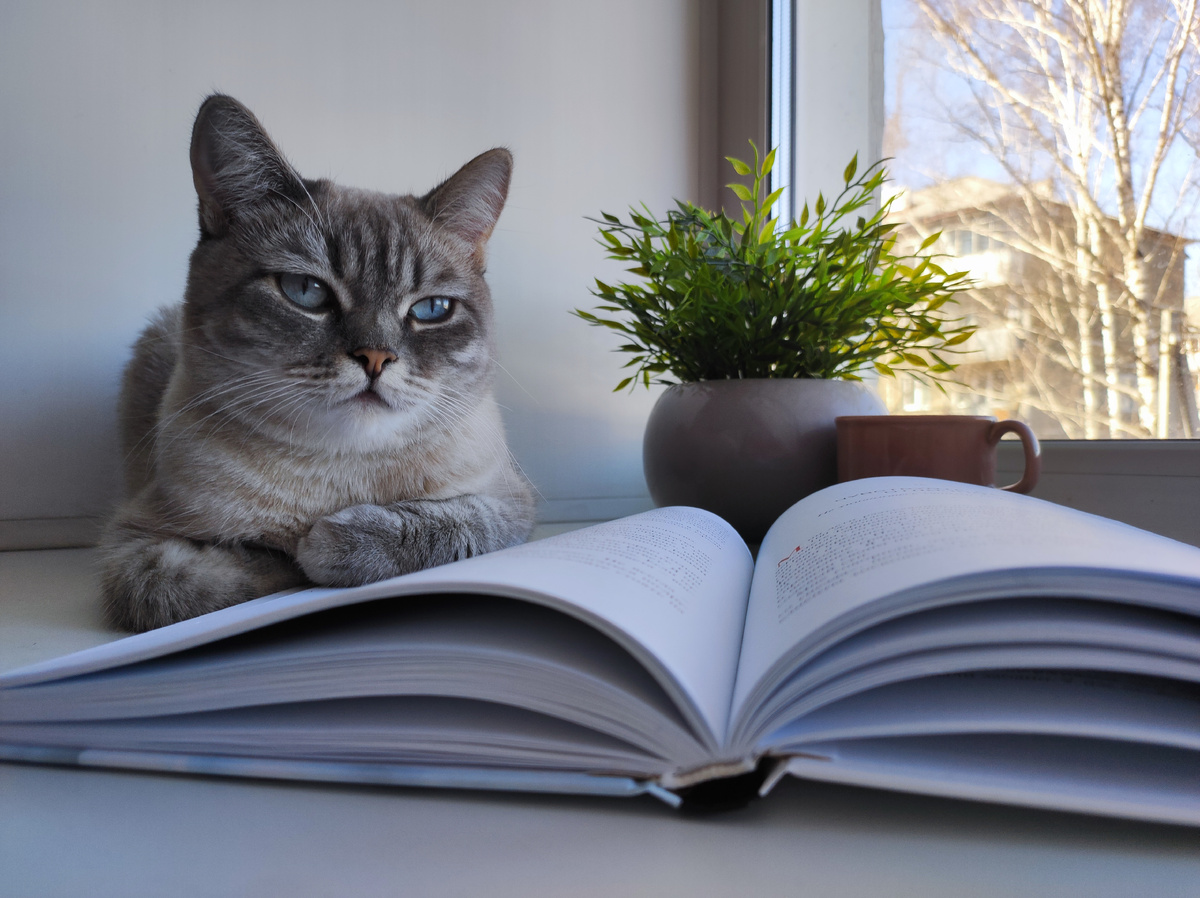 Фото автора 