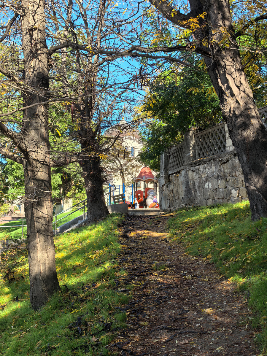 1. Фото для статьи сделаны 30 октября 2025 года.