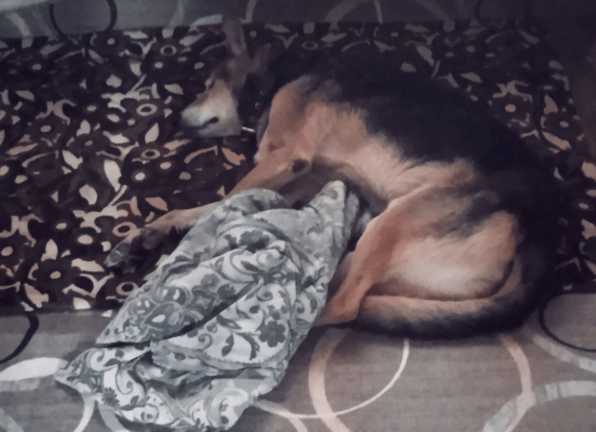 Просыпается, как по будильнику ровно в 8 утра