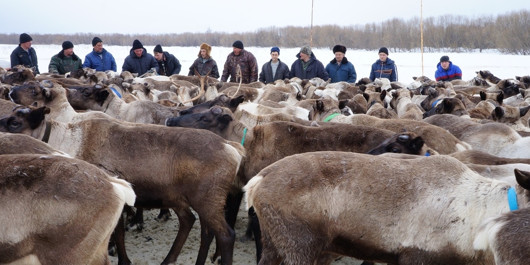 Каслание: Великий поход, который длится всю жизнь