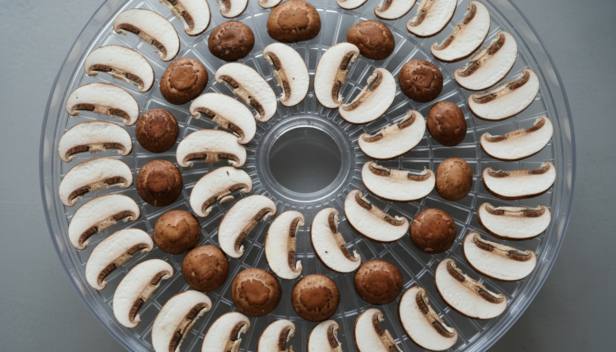    Электросушилка