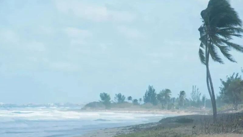    Фото: simonovstas/Shutterstock/Fotodom