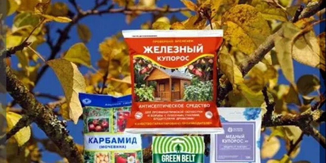Что лучше купоросы или мочевина для осенний искореняющий обработки сада: чем эффективнее обработать сад осенью