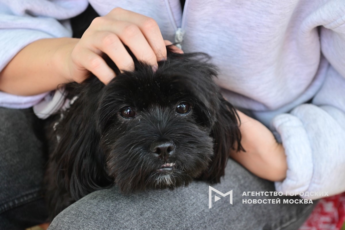 Фотограф: Сергей Киселев