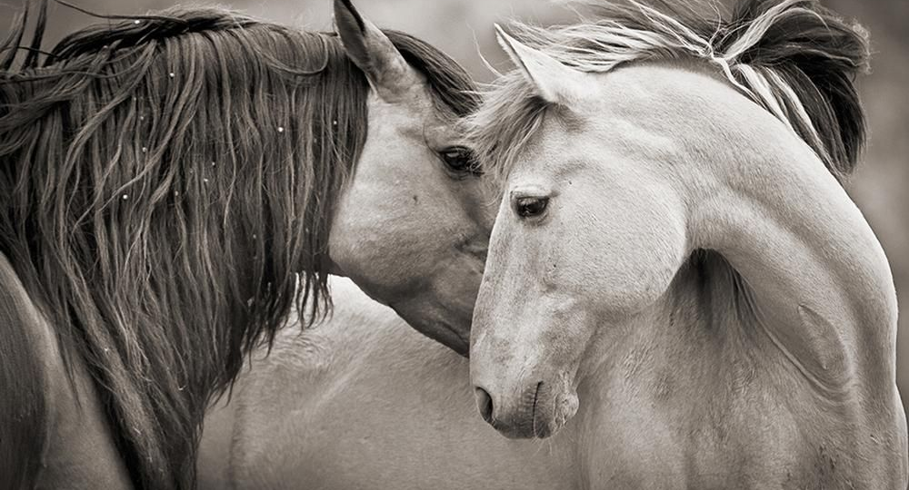 Самонаказания в бацзы. Год Лошади 2026