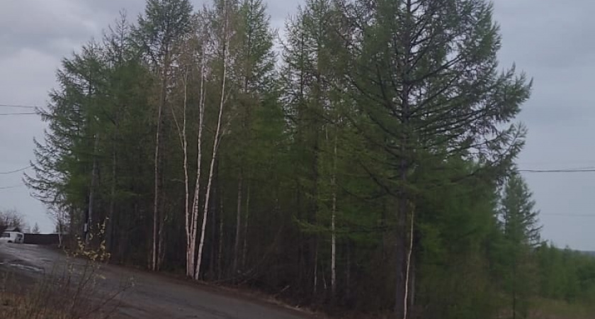    В какие регионы России наступит тепло, а в какие нагрянет суровая зима? Прогноз Вильфанда на ближайшие дни