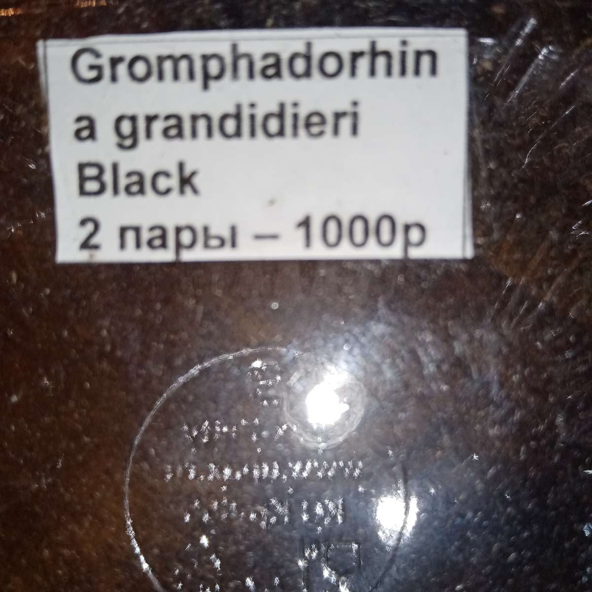 Это их официальное название. 