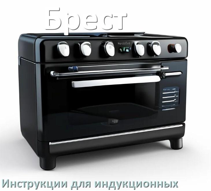 
Руководство пользователя индукционной плиты Брест и официальная инструкция по эксплуатации на русском PDF