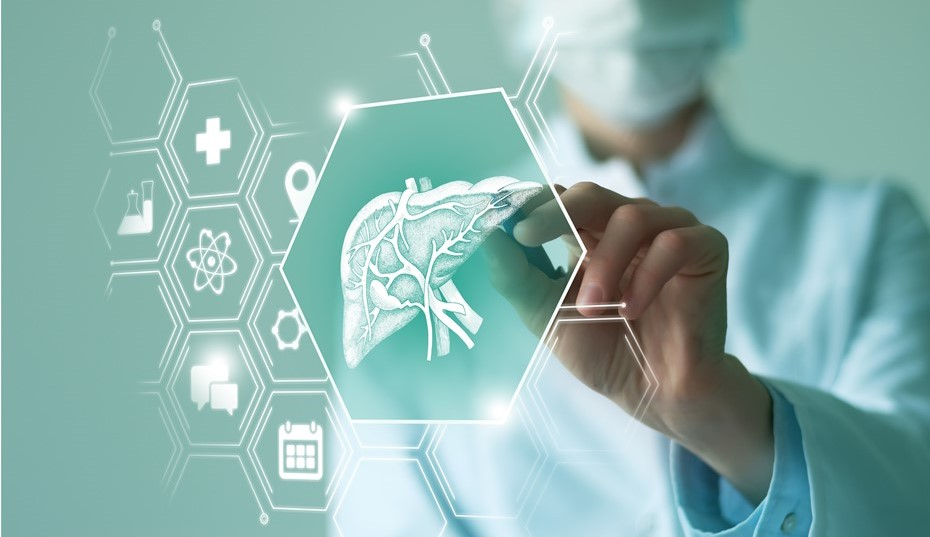 Автор фото: Mi_Viri / Shutterstock / FOTODOM 