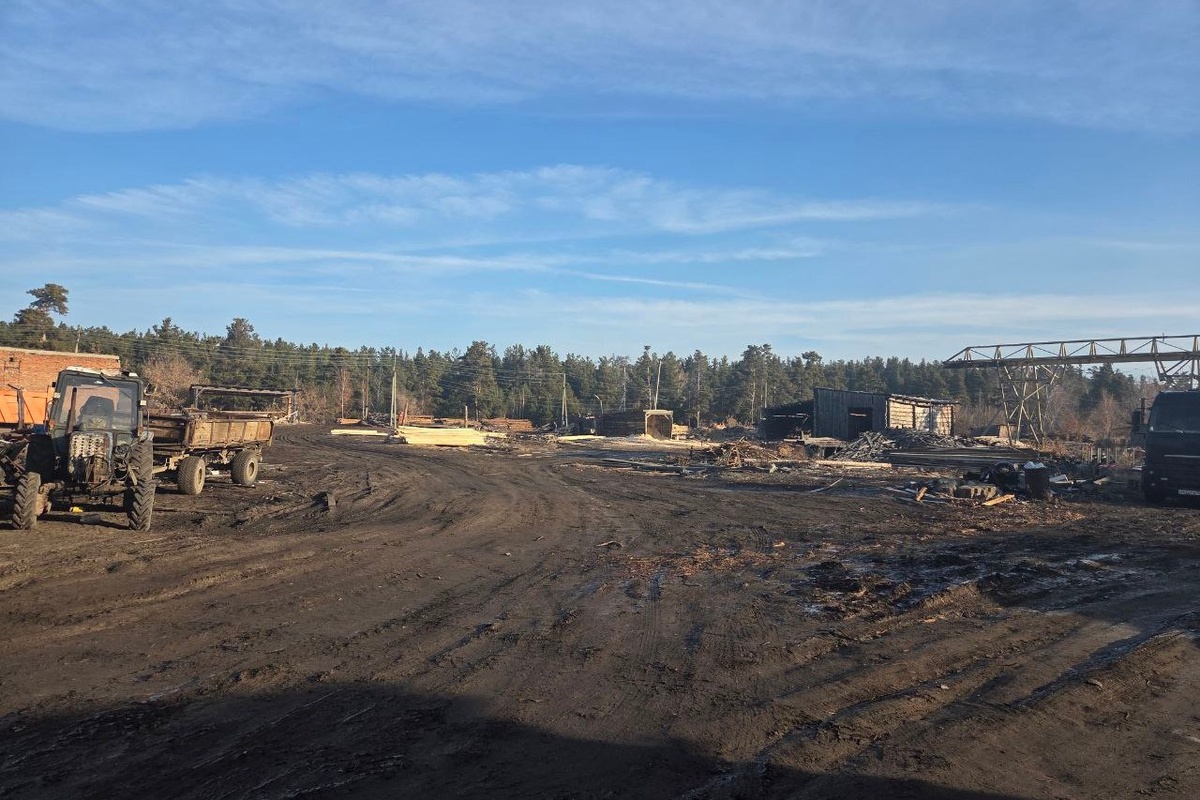    Фото: УФСБ России по НСО