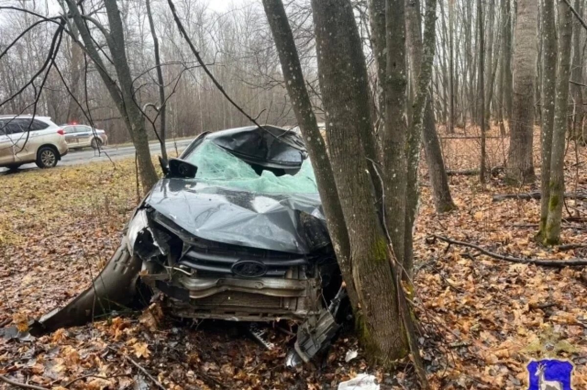    Под Самарой внезапный лось отправил мужчину на больничную койку