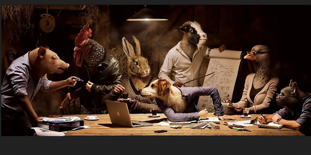 Картинка из открытого источника в Яндексе