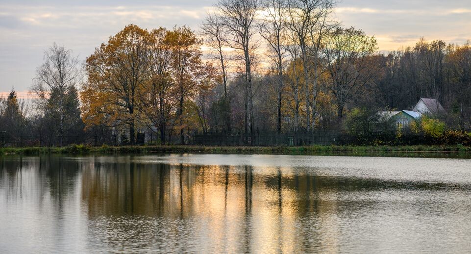    Медиасток.рф