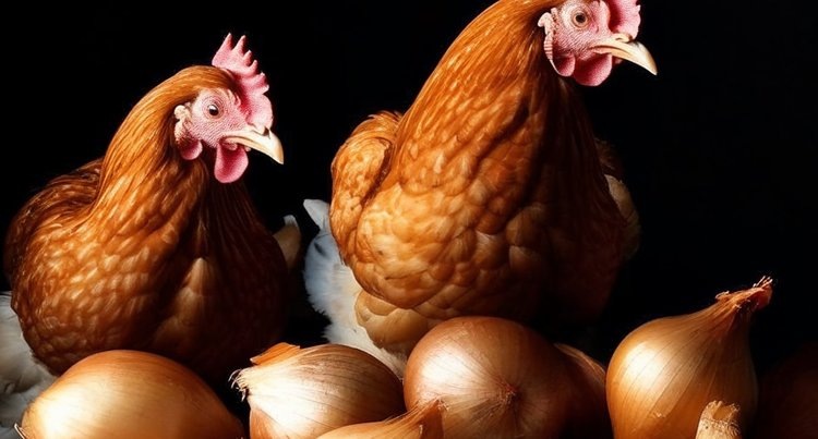    Фото: Медведева Анна, AgroXXI.ru