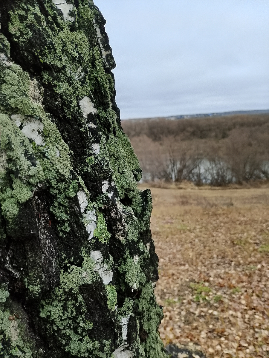 р. Пышма, Ялуторовский район