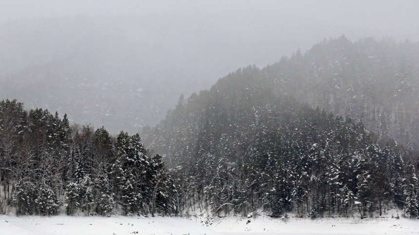    Фото: © РИА Новости/Илья Наймушин