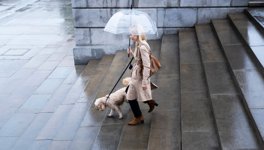 Фото: ru.freepik.com