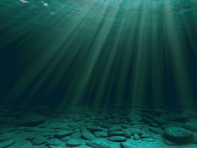    Фото: depositphotos/peshkova