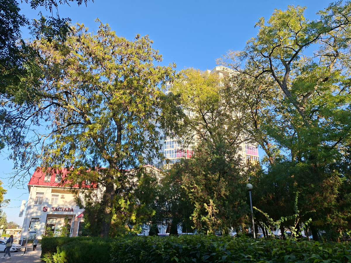 Таким был наш октябрь...