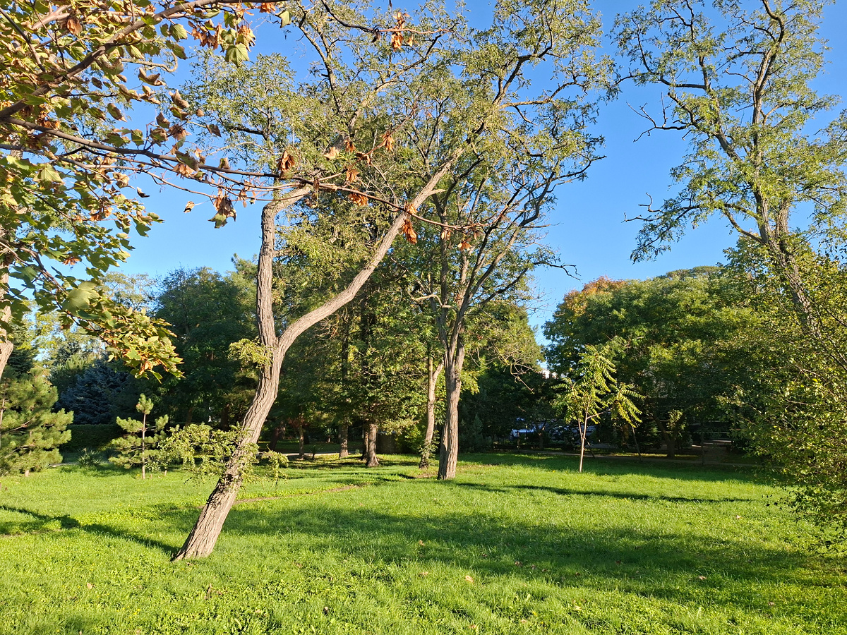 И это - южная осень))