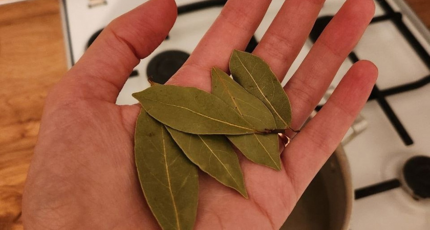    Держите лавровый лист в спальне и живите спокойно: вот на что он влияет - эффект заметите моментально