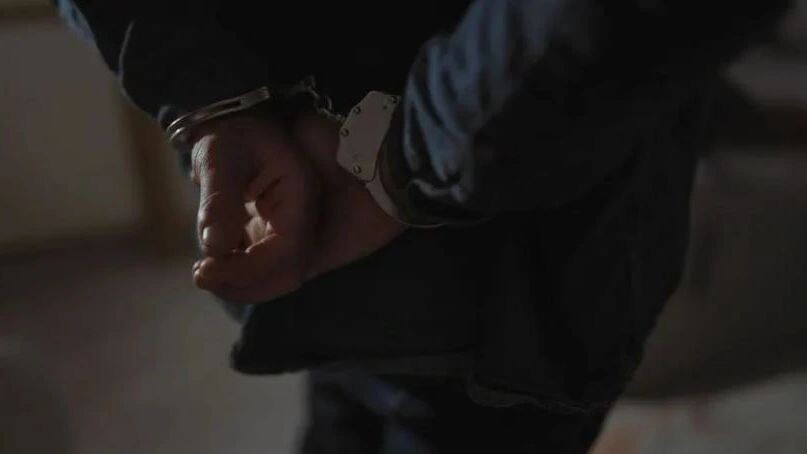    Фото: Krakenimages.com/Shutterstock/Fotodom