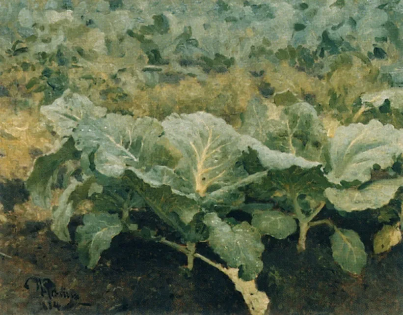«Капуста», 1884 год, художник Илья Репин