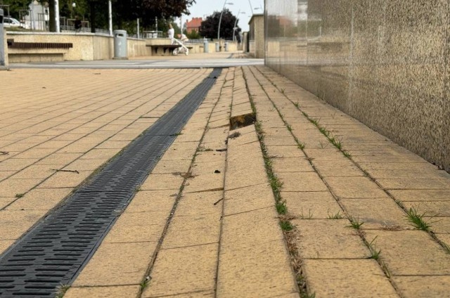   Фото из архива Калининград.Ru