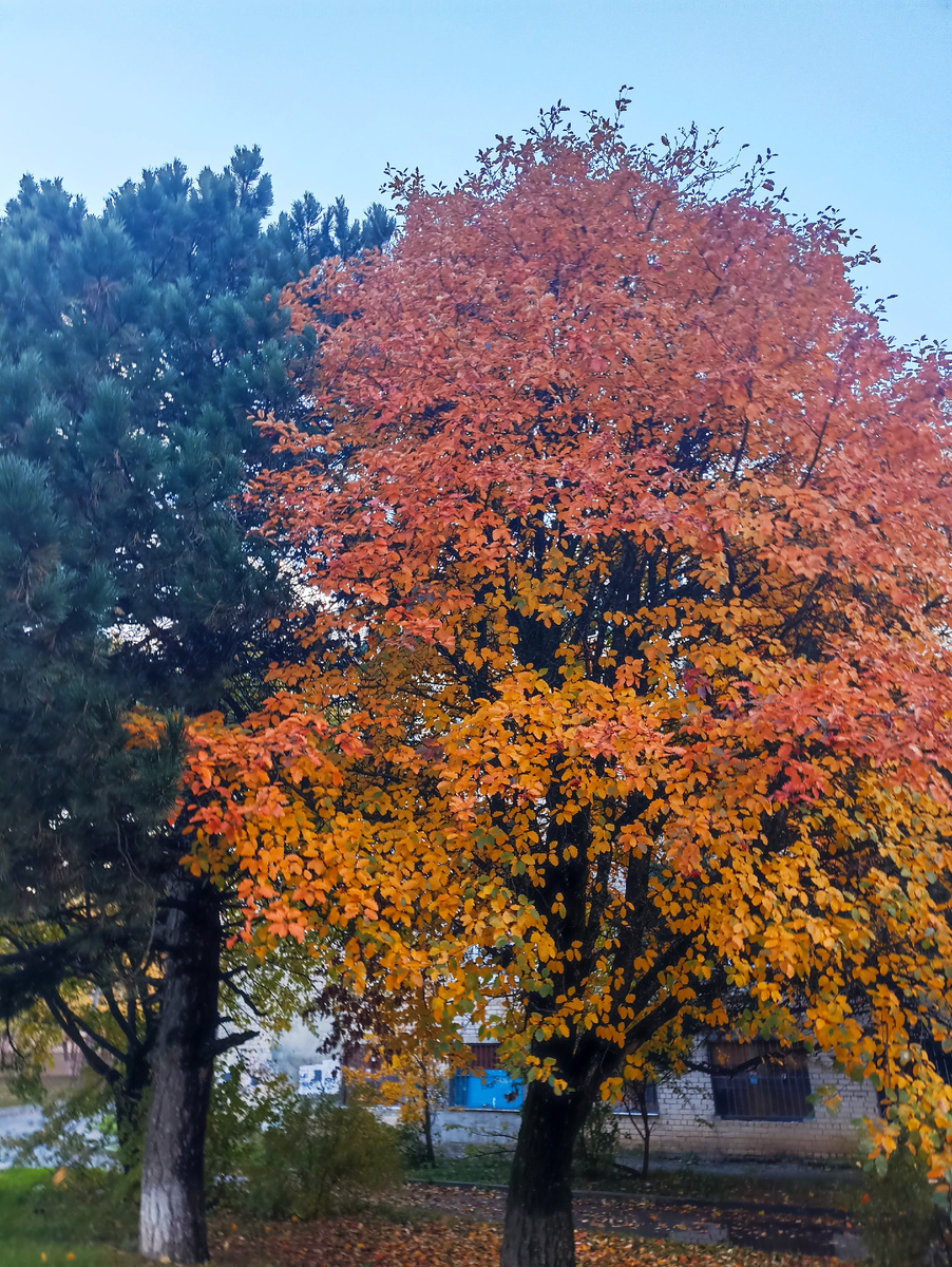 Фото автора с прогулки по городу