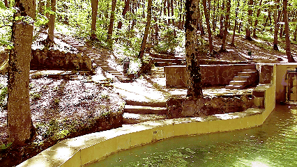 Снял осенний сюжет на мемориале "Холодные родники" в лесопарковой зоне Монастырского леса