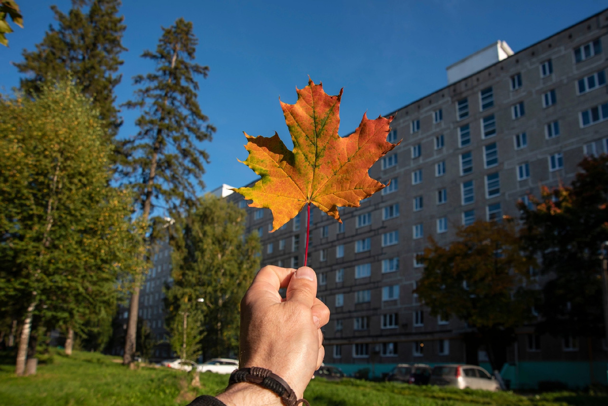 Дом по улице Мира 10 , где находится Яндекс Маркет..))