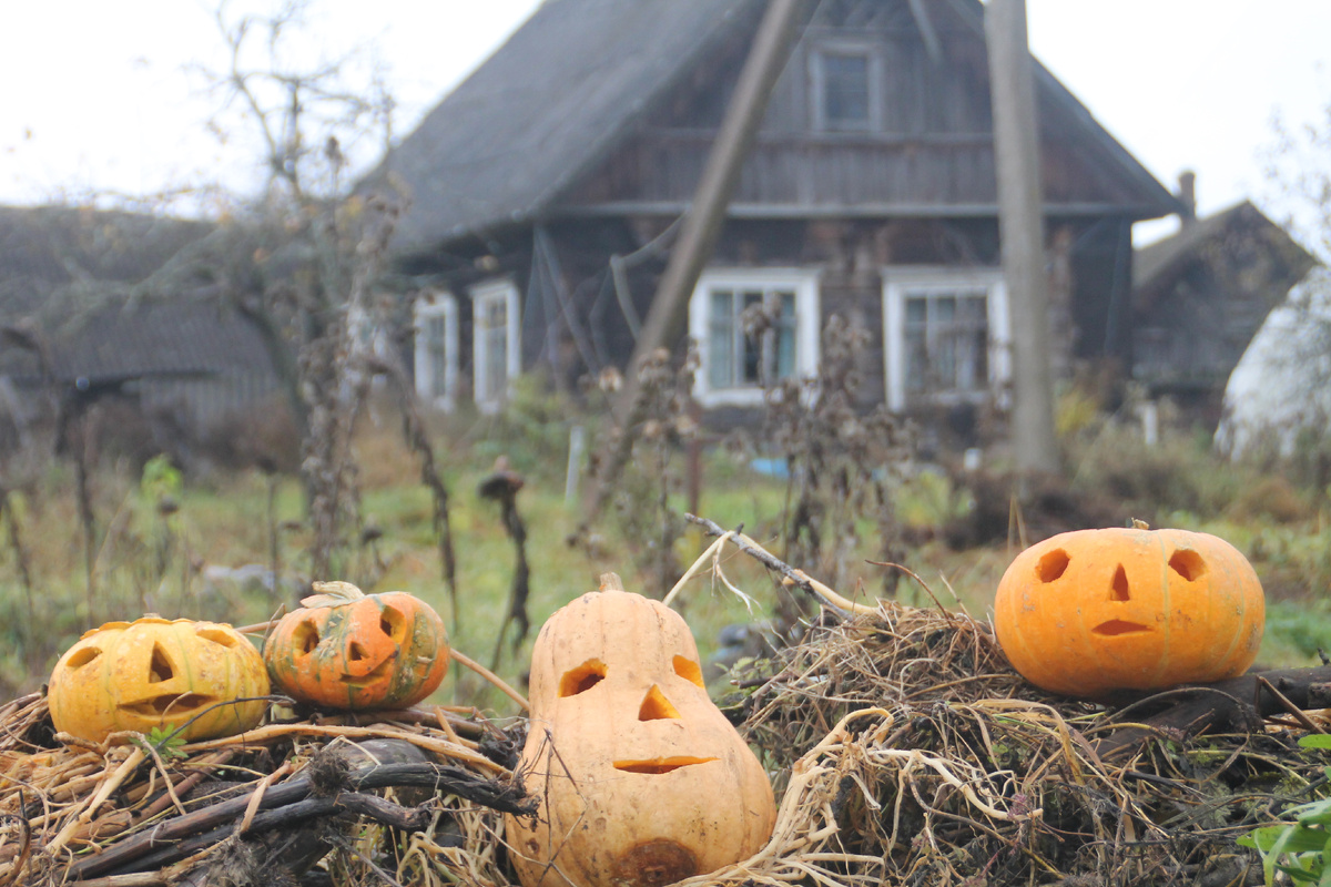 Фестиваль Кабачгения в Псковской деревне 20-25. Фото Автора.