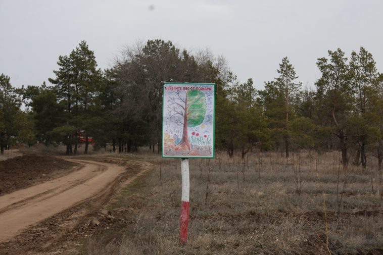 Фото: администрация Волгоградской области