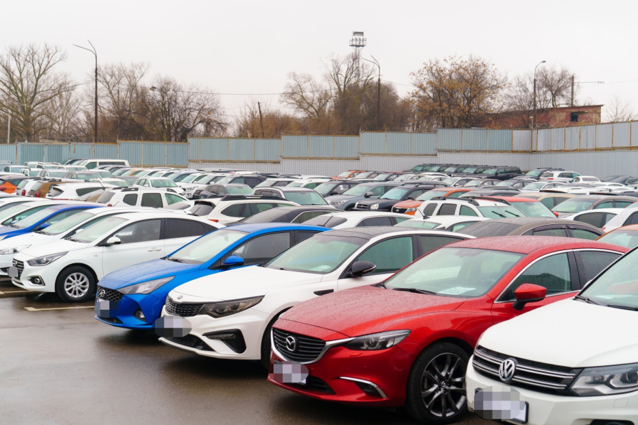    Shutterstock/FOTODOM