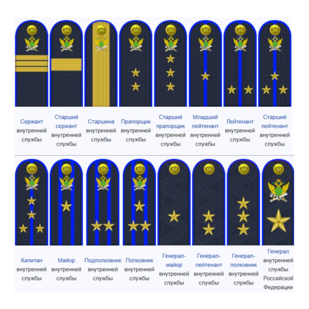 Специальные звания ФССП